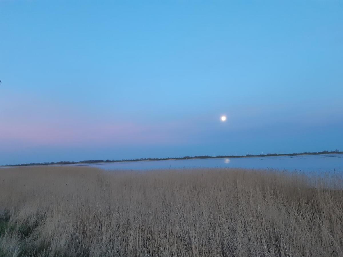 Nordlichthuus Villa Tonning Bagian luar foto